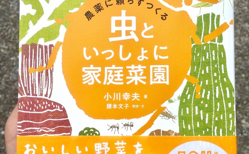 植物好きにおすすめしたい”家庭菜園”の新しい形