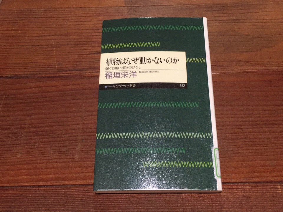 植物から学ぶ、”強さ”とは何か