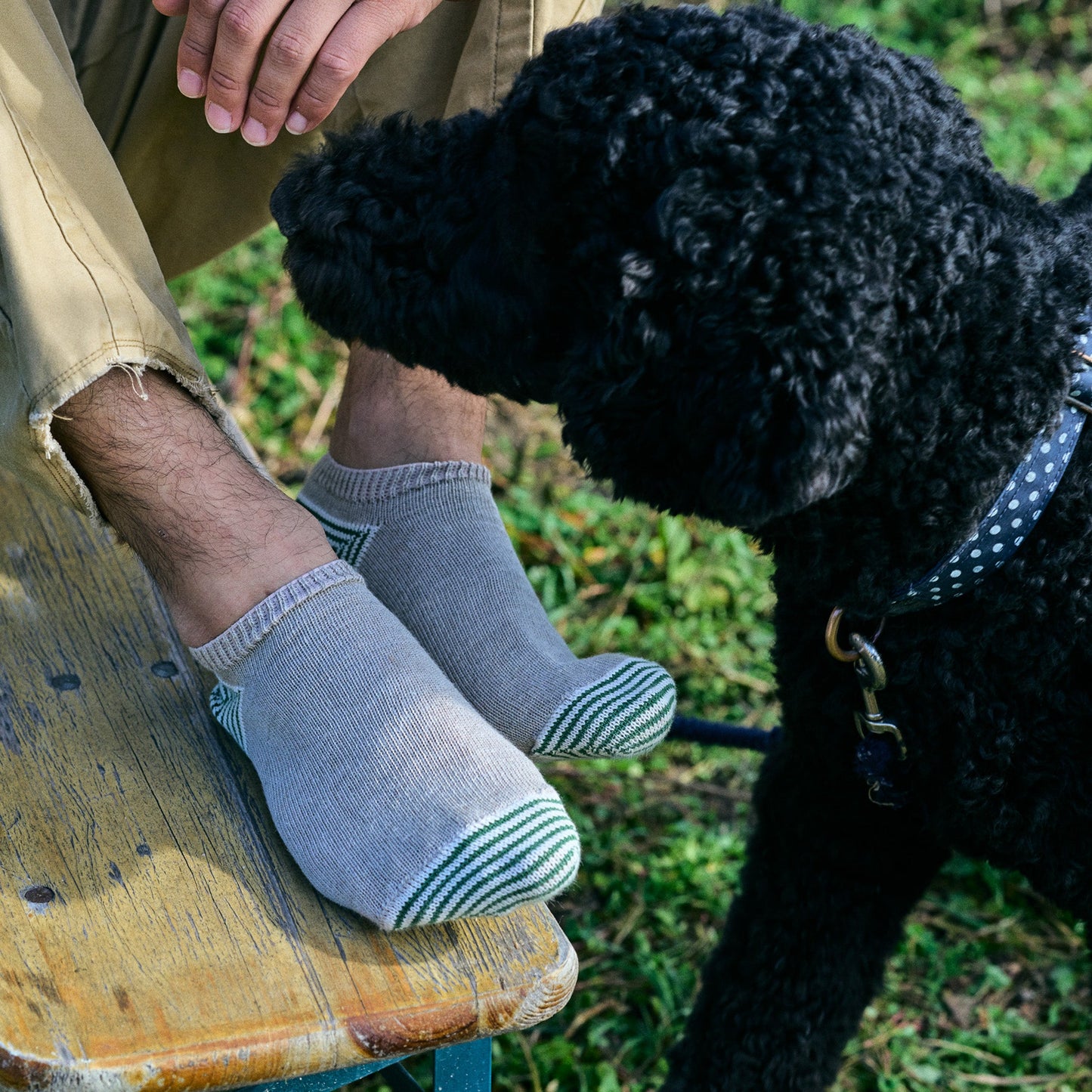 Organic Cotton Linen Sneaker Socks｜7-5013